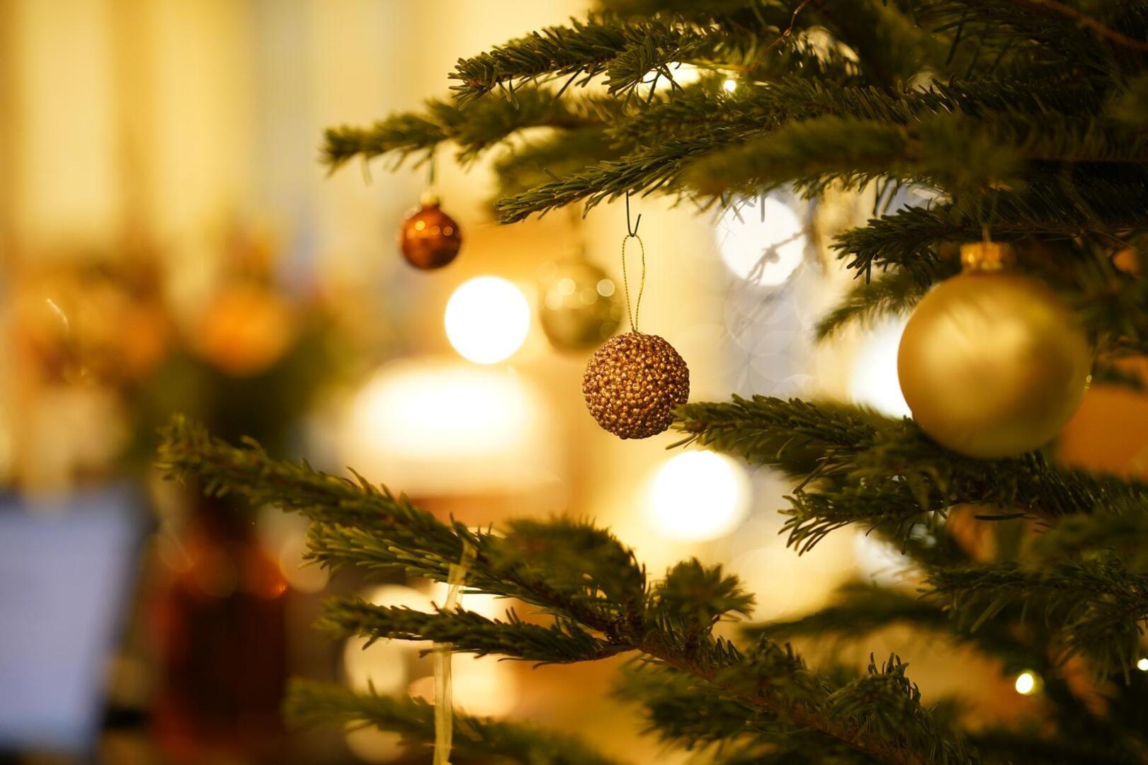 Idée cadeau Noël à Lyon : offrez un bon cadeau restaurant, un séjour hôtel ou une expérience gastronomique